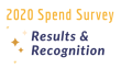 2020 Spend Survey 
